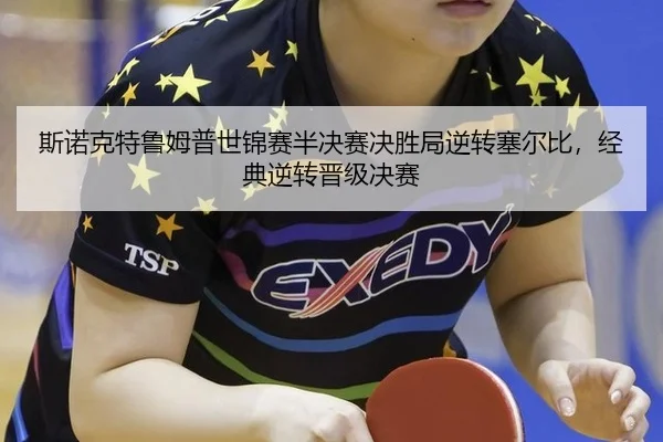 si-nuo-ke-te-lu-mu-pu-shi-jin-sai-ban-jue-sai-jue-sheng-ju-ni-zhuan-sai-er-bi-jing-dian-ni-zhuan-jin-ji-jue-sai-3-308.jpg