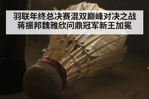 羽联年终总决赛混双巅峰对决之战蒋振邦魏雅欣问鼎冠军新王加冕