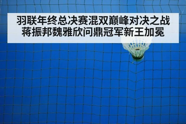 badminton net play